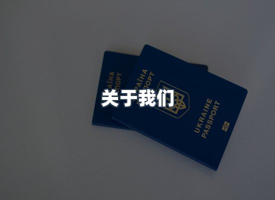 关于我们